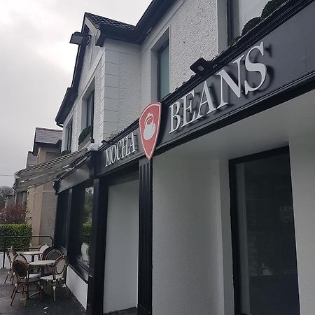 Mocha Newcastle Panzió Galway Kültér fotó